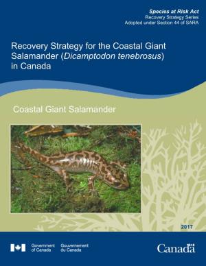 Recovery Strategy for the Coastal Giant Salamander (Dicamptodon Tenebrosus) in Canada