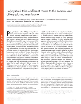 Polycystin-2 Takes Different Routes to the Somatic and Ciliary Plasma Membrane