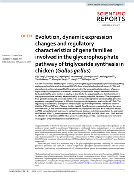 Evolution, Dynamic Expression Changes and Regulatory Characteristics of Gene Families Involved in the Glycerophosphate Pathway O