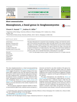 Maasoglossum, a Basal Genus in Geoglossomycetes