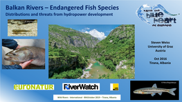 Balkan Rivers – Endangered Fish Species Distributions and Threats from Hydropower Development