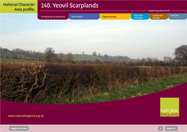 NCA Profile:140 Yeovil Scarplands