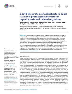 Is a Novel Proteasome Interactor in Mycobacteria and Related