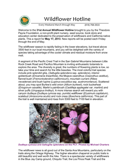The 31St Annual Wildflower Hotline Brought to You by the Theodore