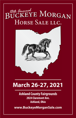 18Th Annual Horse Sale Llc