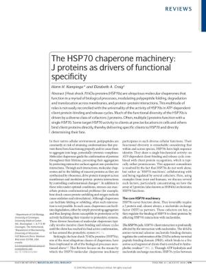 The HSP70 Chaperone Machinery: J Proteins As Drivers of Functional Specificity