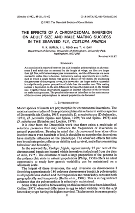 On Adult Size and Male Mating Success in the Seaweed Fly, Coelopa Frigida A