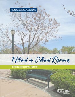 Natural and Cultural Resources Report