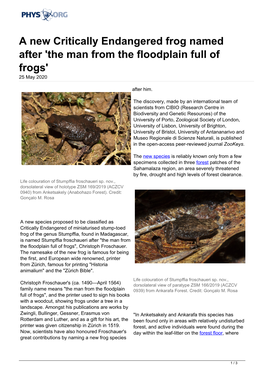 A New Critically Endangered Frog Named After 'The Man from the Floodplain Full of Frogs' 25 May 2020