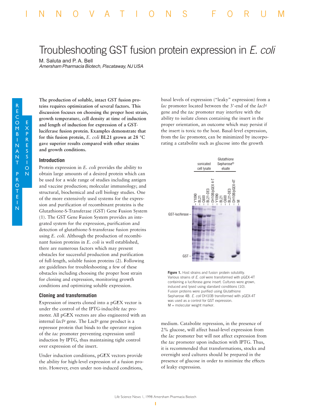 [PDF] Troubleshooting GST Fusion Protein Expression in E. Coli
