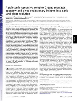 A Polycomb Repressive Complex 2 Gene Regulates Apogamy and Gives Evolutionary Insights Into Early Land Plant Evolution