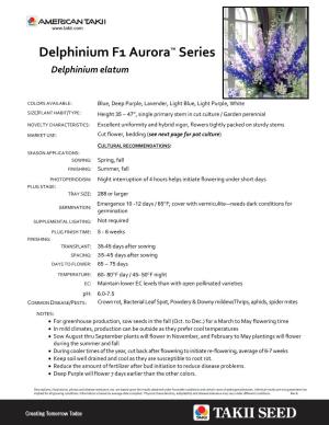 Delphinium F1 Aurora™ Series Delphinium Elatum
