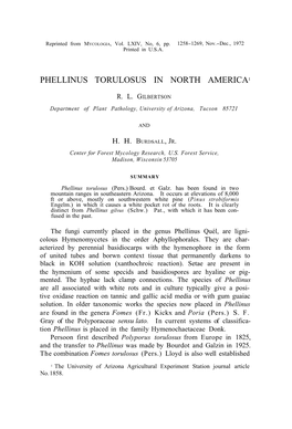 Phellinus Torulosus in North America1