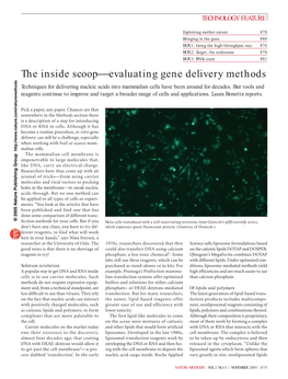 The Inside Scoop—Evaluating Gene Delivery Methods
