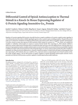 Differential Control of Opioid Antinociception to Thermal Stimuli in a Knock-In Mouse Expressing Regulator of ␣ G-Protein Signaling-Insensitive G O Protein