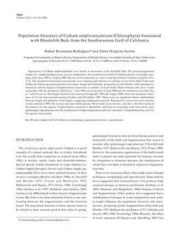 Population Structure of Codium Amplivesiculatum (Chlorophyta) Associated with Rhodolith Beds from the Southwestern Gulf of California