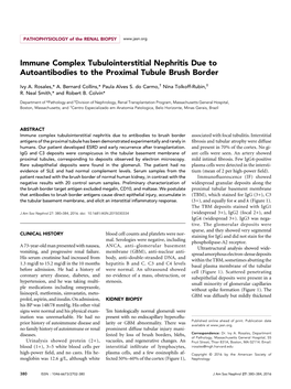 Immune Complex Tubulointerstitial Nephritis Due to Autoantibodies to the Proximal Tubule Brush Border