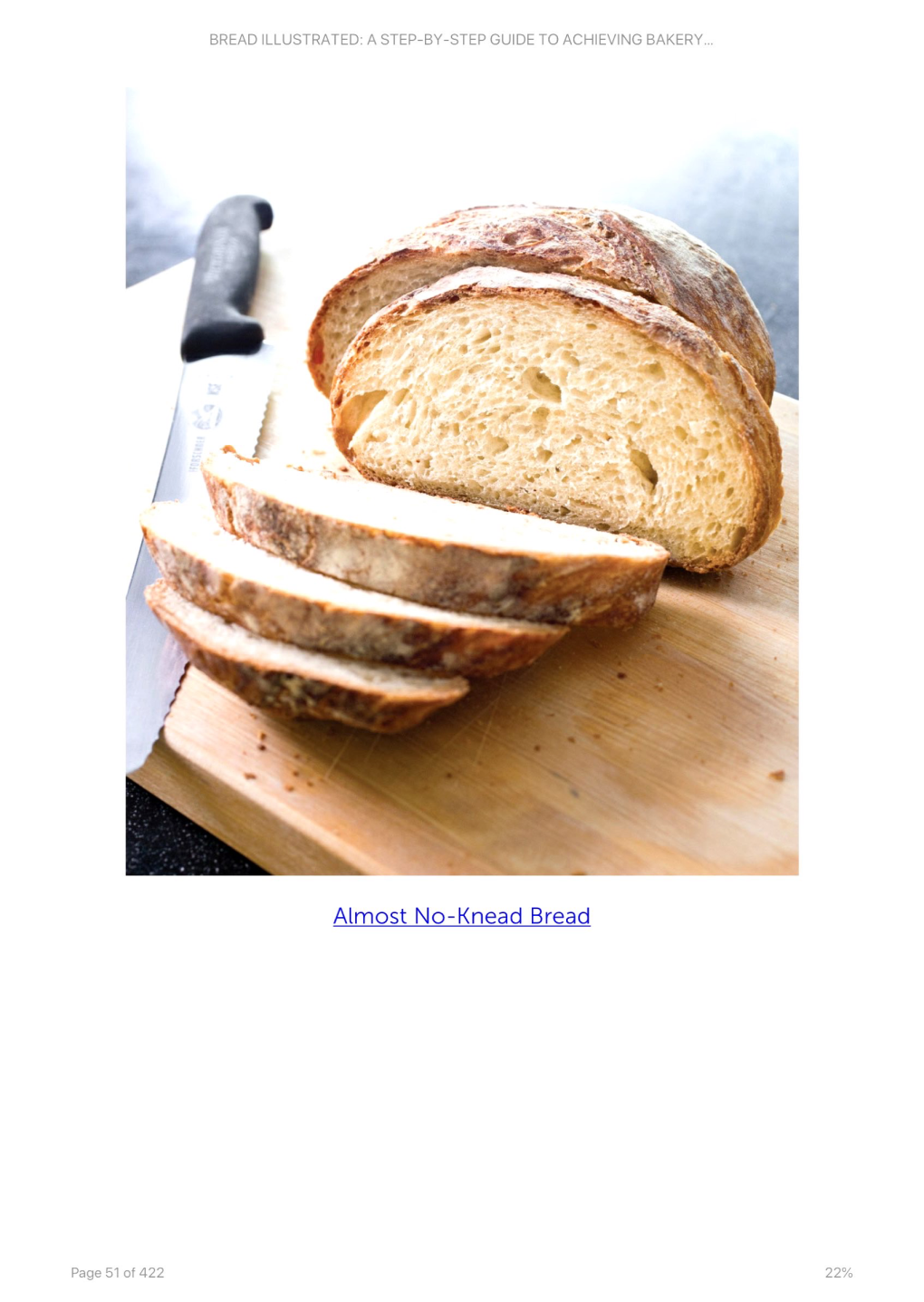 Almost No—Knead Bread