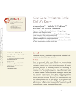 New Gene Evolution: Little Did We Know