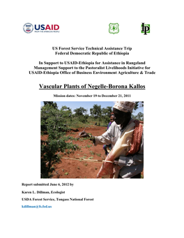 Vascular Plants of Negelle-Borona Kallos