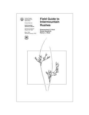 Field Guide to Intermountain Rushes