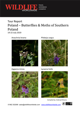 Butterflies & Moths of Southern Poland