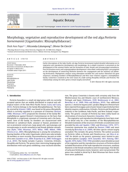Morphology, Vegetative and Reproductive Development of the Red Alga Portieria Hornemannii (Gigartinales: Rhizophyllidaceae)