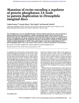 Mutation of Twins Encoding a Regulator of Protein Phosphatase 2A Leads to Pattern Duplication in Drosophila Imaginal Discs