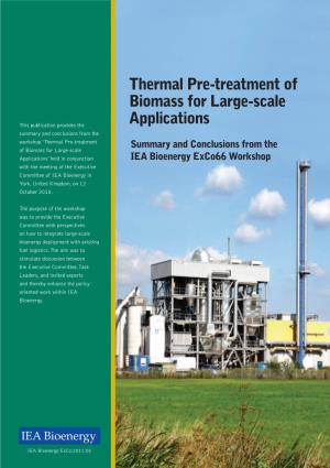 Exco66 Thermal Pre-Treatment of Biomass for Large-Scale Applications