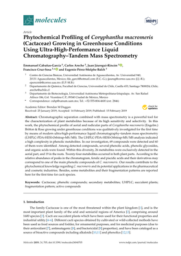 Phytochemical Profiling of Coryphantha Macromeris