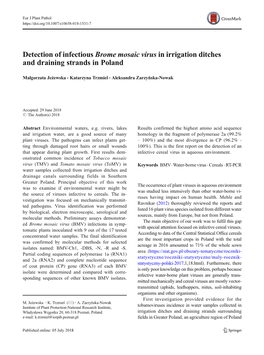 Detection of Infectious Brome Mosaic Virus in Irrigation Ditches and Draining Strands in Poland