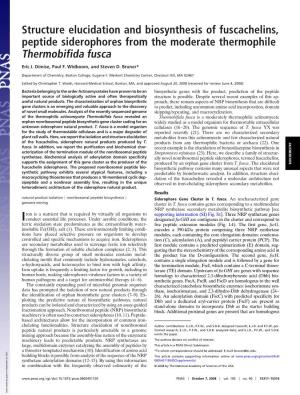 Structure Elucidation and Biosynthesis of Fuscachelins, Peptide Siderophores from the Moderate Thermophile Thermobifida Fusca