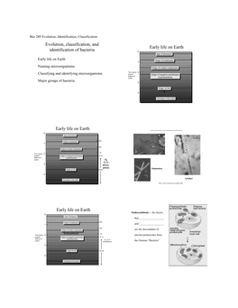 Evolution, Classification, and Identification of Bacteria Early Life