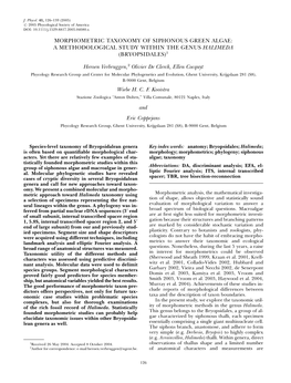 Morphometric Taxonomy of Siphonous Green Algae: a Methodological Study Within the Genus Halimeda (Bryopsidales)1