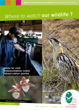 Where to Watch Our Wildlife ? D I S C O V E R