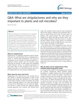 What Are Strigolactones and Why Are They Important to Plants and Soil Microbes? Steven M Smith