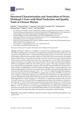 Structural Characterization and Association of Ovine Dickkopf-1 Gene with Wool Production and Quality Traits in Chinese Merino