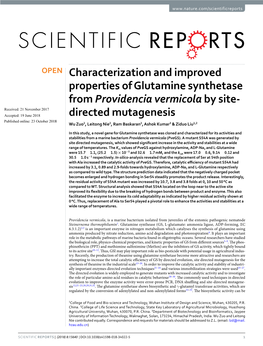 Characterization and Improved Properties of Glutamine Synthetase from Providencia Vermicola by Site-Directed Mutagenesis