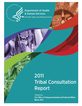 2010 Tribal Consultation Report
