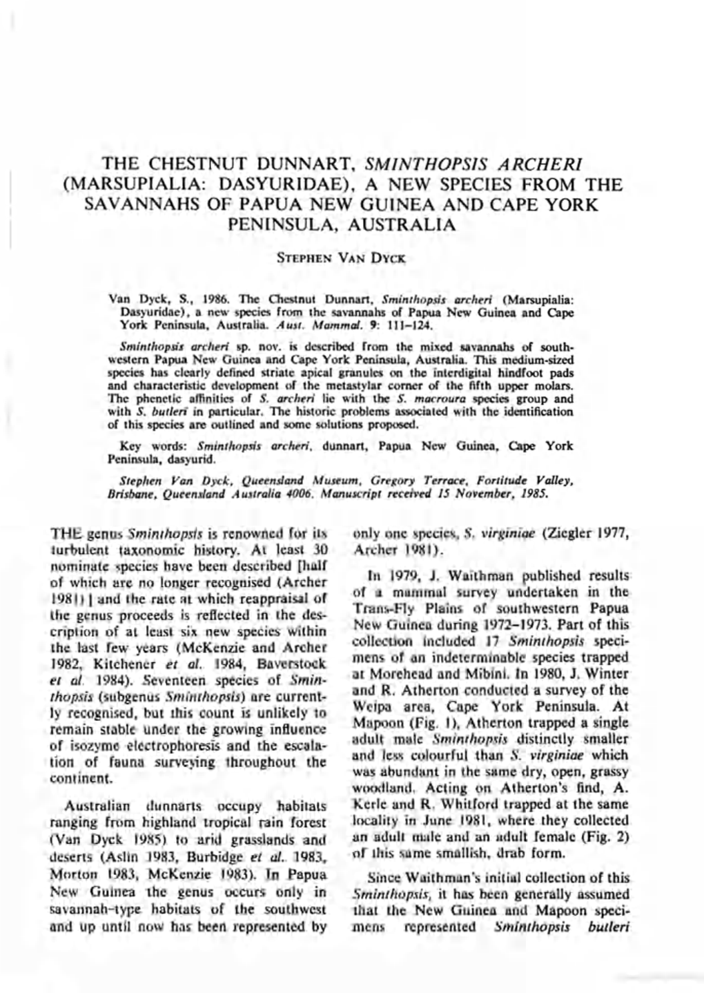 The Chestnut Dunnart, Sminthopsis Archeri (Marsupialia: Dasyuridae), a New Species from the Savannahs of Papua New Guinea and Cape York Peninsula, Australia