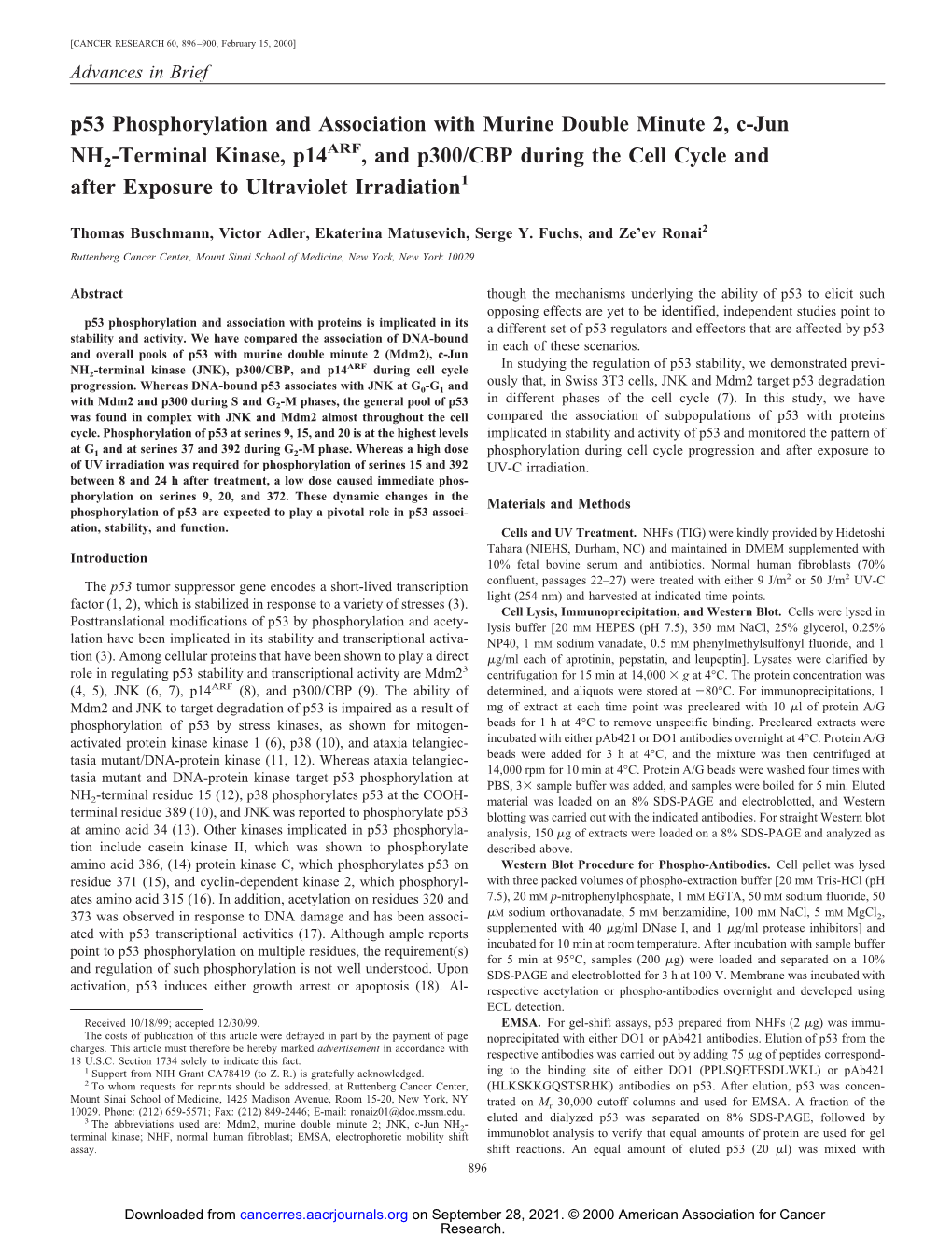 P53 Phosphorylation and Association with Murine Double Minute 2, C-Jun