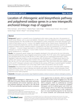 Location of Chlorogenic Acid Biosynthesis Pathway