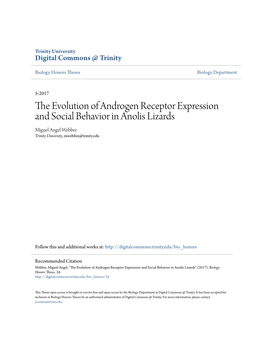 The Evolution of Androgen Receptor Expression and Social Behavior in Anolis Lizards Miguel A