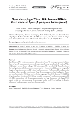 Physical Mapping of 5S and 18S Ribosomal DNA in Three Species of Agave (Asparagales, Asparagaceae)