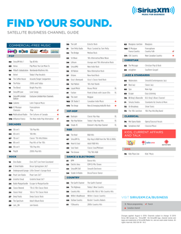 Business Satellite Channel Guide