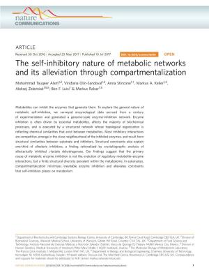 The Self-Inhibitory Nature of Metabolic Networks and Its Alleviation Through Compartmentalization