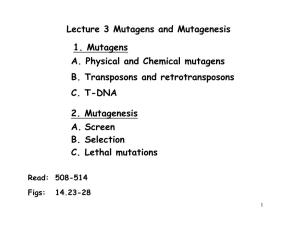 Lecture 3 Mutagens and Mutagenesis A. Physical and Chemical