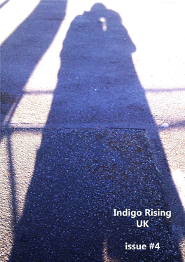 Indigo Rising UK and She Has Previously Been Published in Beautiful Scruffiness and Down in the Dirt, the Night Light and Other Publications Online