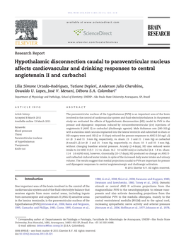 Hypothalamic Disconnection Caudal to Paraventricular Nucleus Affects Cardiovascular and Drinking Responses to Central Angiotensin II and Carbachol