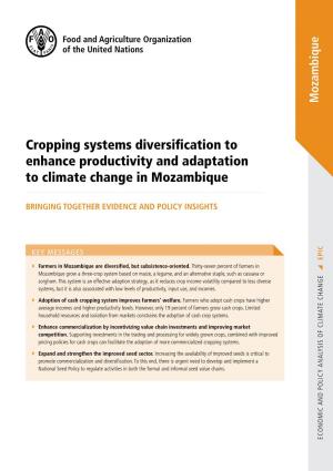 Cropping Systems Diversification to Enhance Productivity And